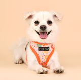 Puppia Vinca Harness Model A orange - Premium hondentuig > honden harnas from Puppia - Just €28.99! Shop now at Frenkiezdogshop