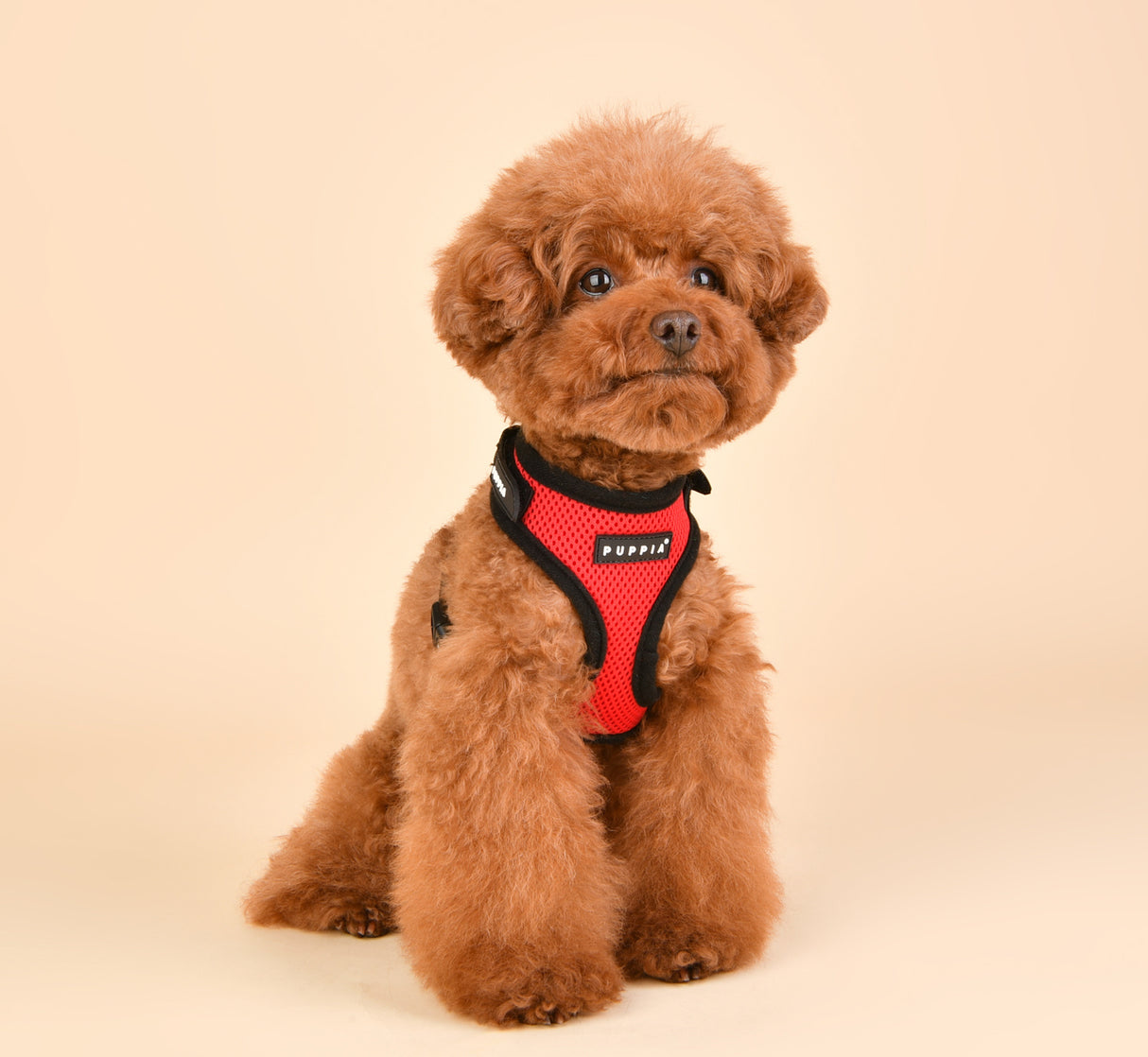 Puppia Superior Harness Model A Red - Premium hondentuig > honden harnas from Puppia - Just €21.99! Shop now at Frenkiezdogshop