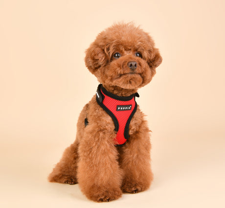 Puppia Superior Harness Model A Red hondentuig > honden harnas > model A Small