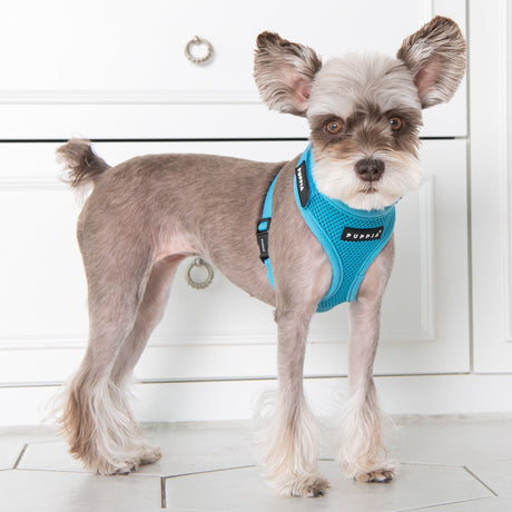 Puppia Superior Harness Model A Skyblue hondentuig > honden harnas > model A Small
