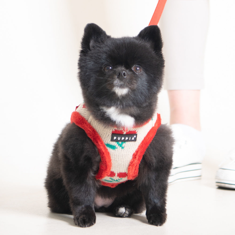 Puppia Cheryl Harness Model A Red - Premium hondentuig > honden harnas from Puppia - Just €26.99! Shop now at Frenkiezdogshop