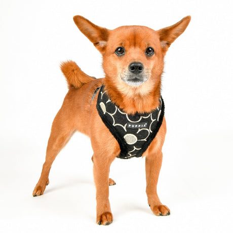 Puppia Florent Harness Model A Black hondentuig > honden harnas > model A Small