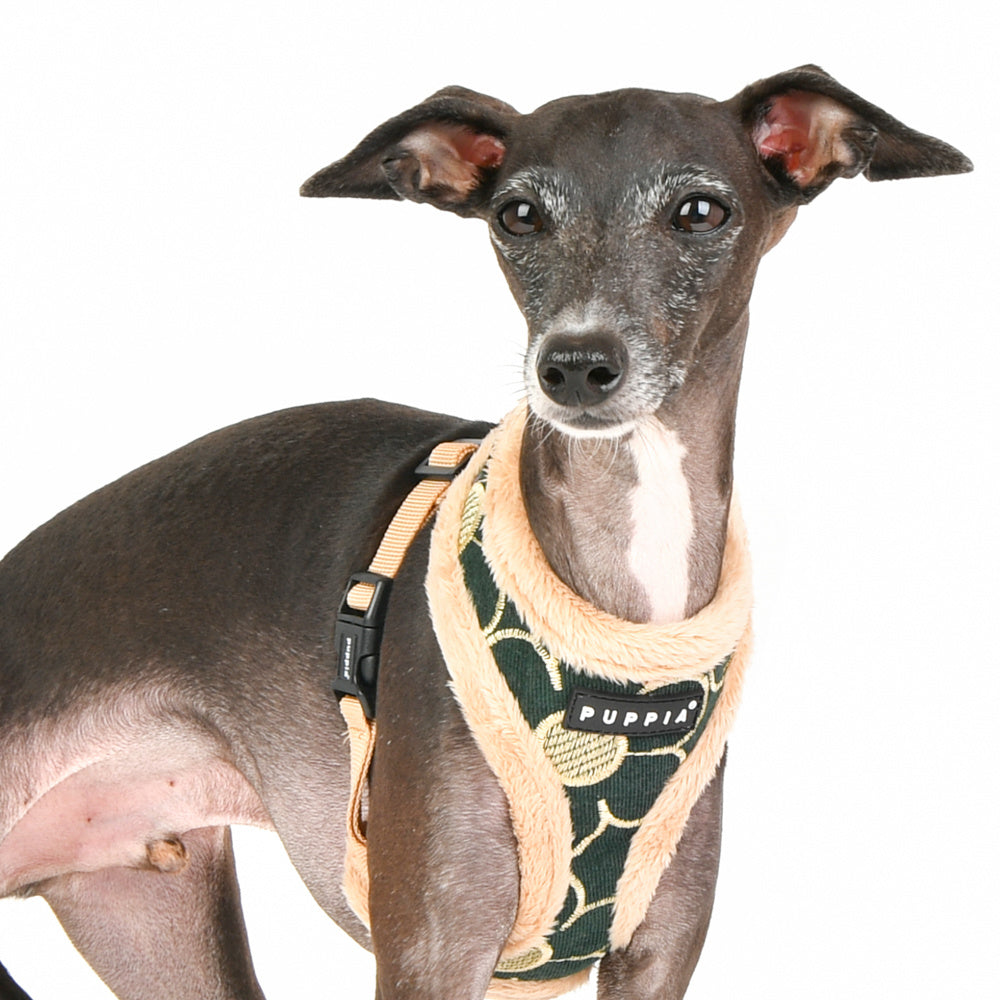 Puppia Florent Harness Model A Khaki - Premium hondentuig > honden harnas from Puppia - Just €29.99! Shop now at Frenkiezdogshop