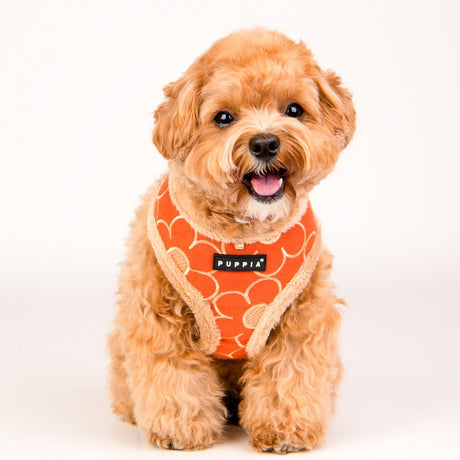 Puppia Florent Harness Model A Orange hondentuig > honden harnas > model A Small