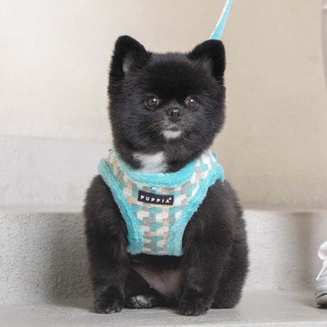 Puppia Arden Harness Model A Aqua ( XL ) hondentuig > honden harnas > model B Small