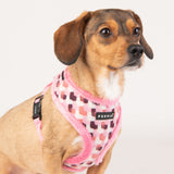 Puppia Arden Harness Model A Pink ( L & Xl ) - Premium hondentuig > honden harnas from Puppia - Just €25.99! Shop now at Frenkiezdogshop