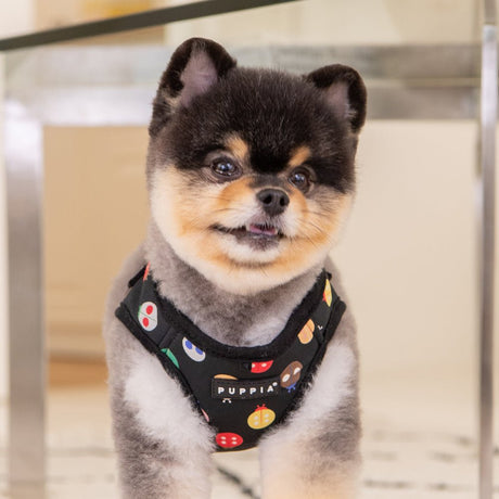 Puppia Lady Beetle Harness Model A Black hondentuig > honden harnas > model A Small