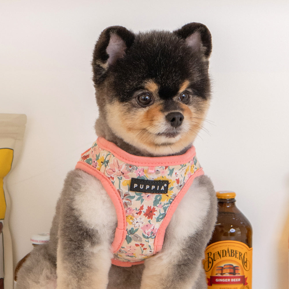 Puppia Lita Harness Model A Indian Pink - Premium hondentuig > honden harnas from Puppia - Just €27.99! Shop now at Frenkiezdogshop