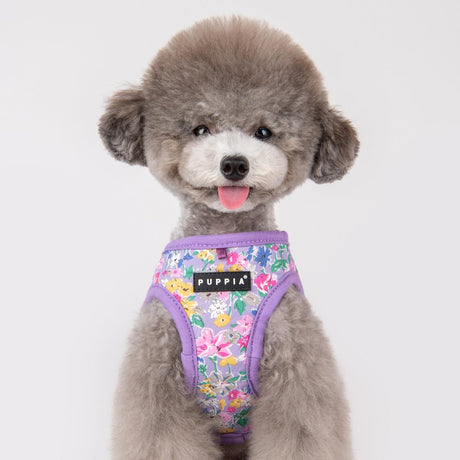 Puppia Lita Harness Model A Purple hondentuig > honden harnas > model A X - Small