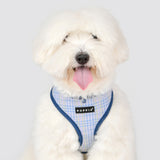 Puppia Luke Harness Model A Blue - Premium hondentuig > honden harnas from Puppia - Just €25.99! Shop now at Frenkiezdogshop