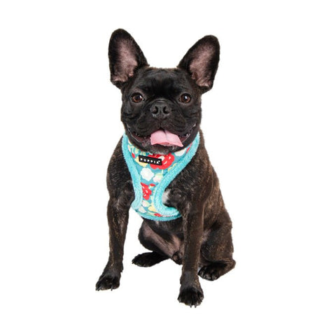 Puppia Alyssa Harness Model A Aqua hondentuig > honden harnas > model A Small