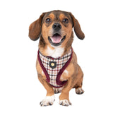 Puppia Kent Harness Model A Wine - Premium hondentuig > honden harnas from Puppia - Just €34.99! Shop now at Frenkiezdogshop