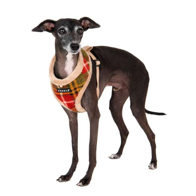 Puppia Norman Harness Model A Beige - Premium hondentuig > honden harnas from Puppia - Just €25.99! Shop now at Frenkiezdogshop