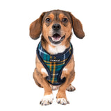 Puppia Norman Harness Model A Navy - Premium hondentuig > honden harnas from Puppia - Just €25.99! Shop now at Frenkiezdogshop