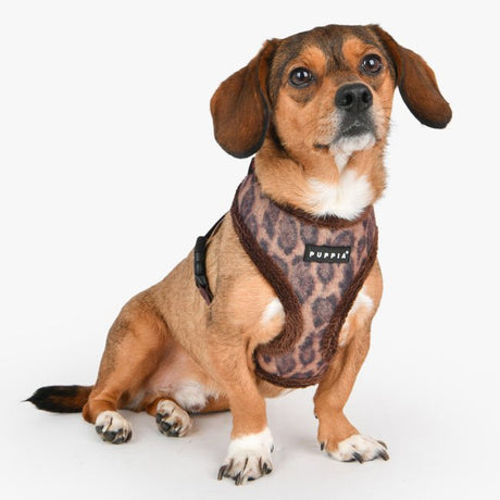 Puppia Kovo Harness Model A Brown hondentuig > honden harnas > model A Small