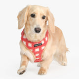 Puppia Stefan Harness Model A Coral - Premium hondentuig > honden harnas from Puppia - Just €25.99! Shop now at Frenkiezdogshop