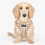 Puppia Jace Harness Model A Beige - Premium hondentuig > honden harnas from Puppia - Just €25.99! Shop now at Frenkiezdogshop