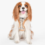 Puppia Jace Harness Model A Beige - Premium hondentuig > honden harnas from Puppia - Just €25.99! Shop now at Frenkiezdogshop