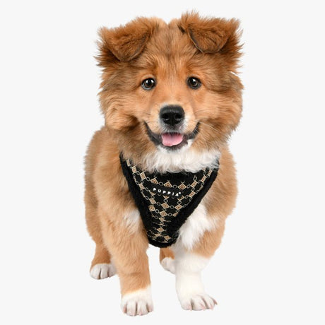 Puppia Jace Harness Model A Black hondentuig > honden harnas > model A Small