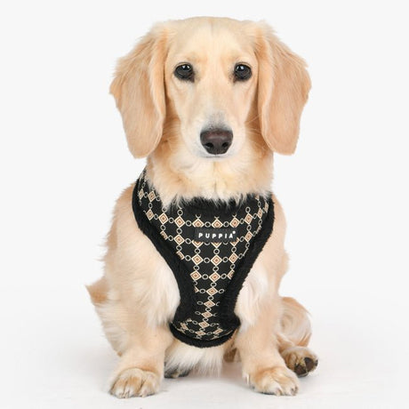 Puppia Jace Harness Model A Black hondentuig > honden harnas > model A Small