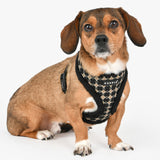 Puppia Jace Harness Model A Black - Premium hondentuig > honden harnas from Puppia - Just €25.99! Shop now at Frenkiezdogshop