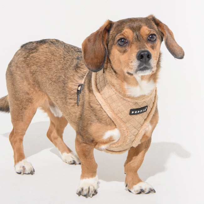 Puppia Douglas Harness model A Beige