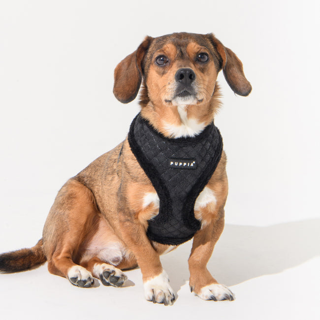 Puppia Douglas Harness model A Black - Premium hondentuig > honden harnas from Puppia - Just €26.99! Shop now at Frenkiezdogshop