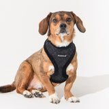 Puppia Douglas Harness model A Black - Premium hondentuig > honden harnas from Puppia - Just €26.99! Shop now at Frenkiezdogshop