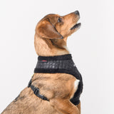 Puppia Douglas Harness model A Black - Premium hondentuig > honden harnas from Puppia - Just €26.99! Shop now at Frenkiezdogshop