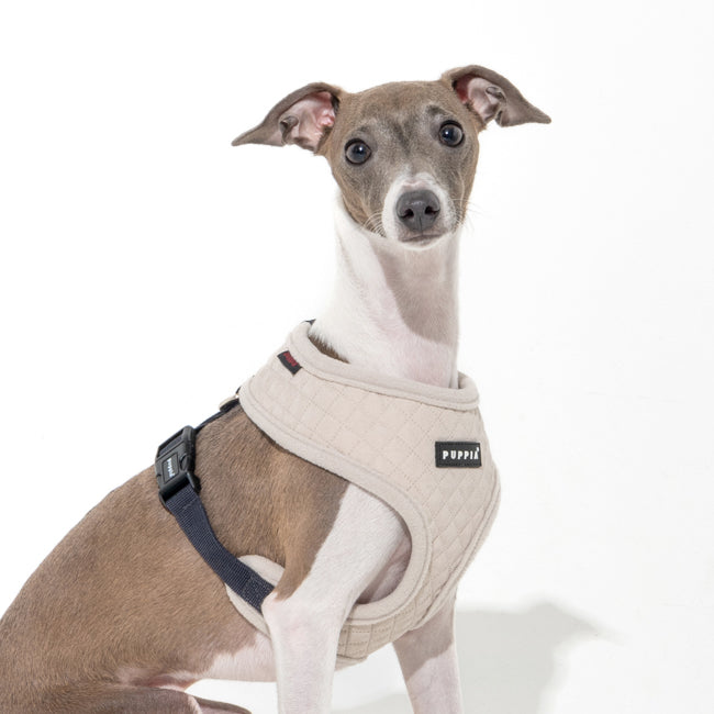 Puppia Irvin Harness model A Cream - Premium hondentuig > honden harnas from Puppia - Just €26.99! Shop now at Frenkiezdogshop