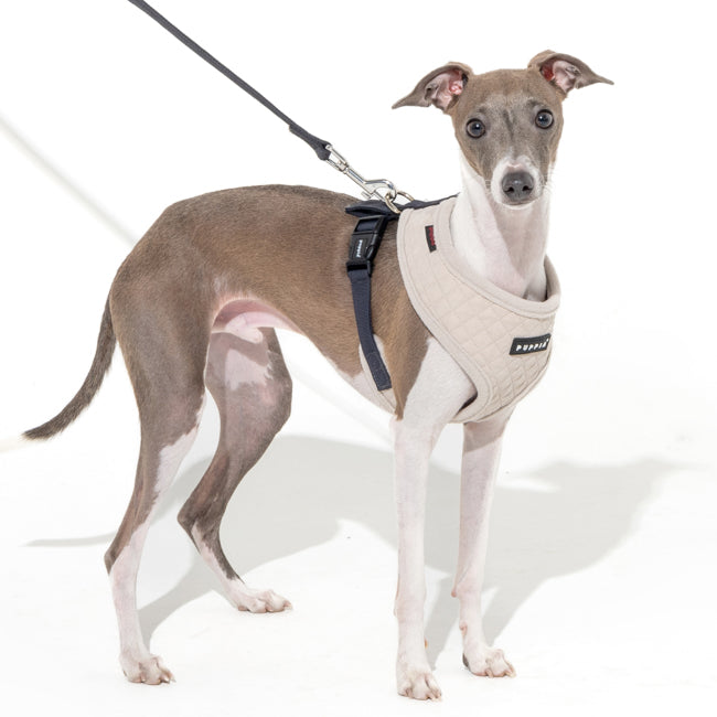 Puppia Irvin Harness model A Cream - Premium hondentuig > honden harnas from Puppia - Just €26.99! Shop now at Frenkiezdogshop