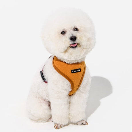 Puppia Irvin Harness model A Mustard hondentuig > honden harnas > model A Small