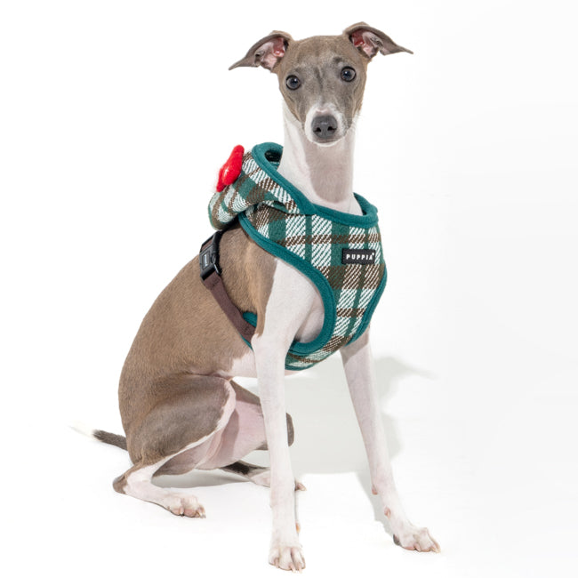 Puppia Festive Harness model A Green