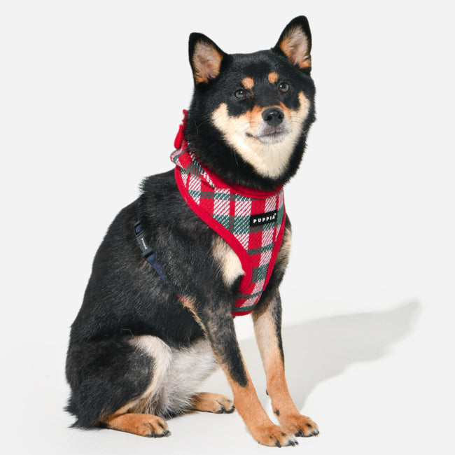 Puppia Festive Harness model A Red - Premium hondentuig > honden harnas from Puppia - Just €31.99! Shop now at Frenkiezdogshop