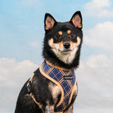 Puppia Corwin Harness Model A Navy - Premium hondentuig > honden harnas from Puppia - Just €26.99! Shop now at Frenkiezdogshop