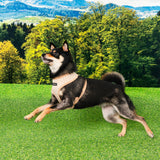 Puppia Amatus Harness Model A Beige - Premium hondentuig > honden harnas from Puppia - Just €26.99! Shop now at Frenkiezdogshop