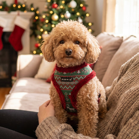 Puppia Rhapsodia Harness Model A - Wine