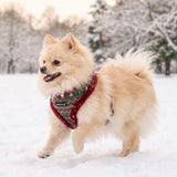 Puppia Rhapsodia Harness Model A - Wine