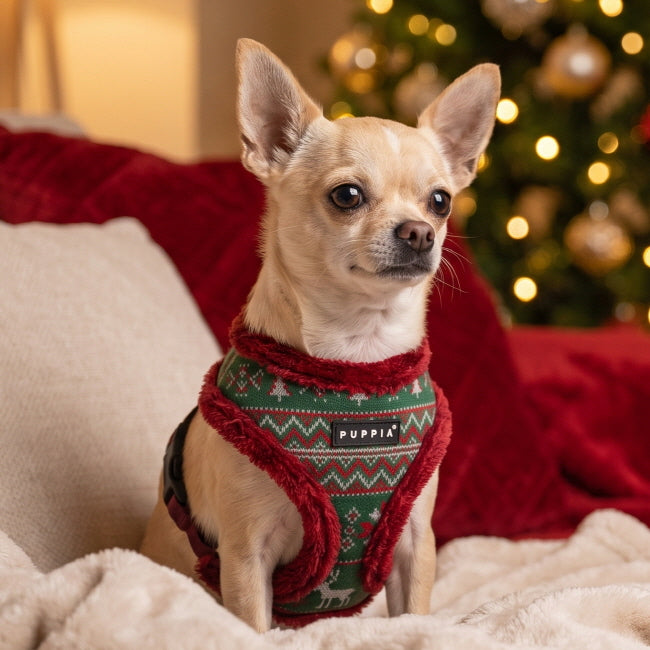 Puppia Rhapsodia Harness Model A - Wine
