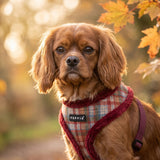 Puppia Adonissa Harness Model A - Wine
