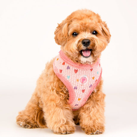 Pinkaholic Merry Harness Indian Pink hondentuig > honden harnas > model A Small