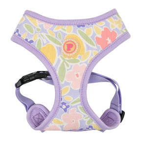 Pinkaholic Evanthe harness Purple hondentuig > honden harnas > model A Small