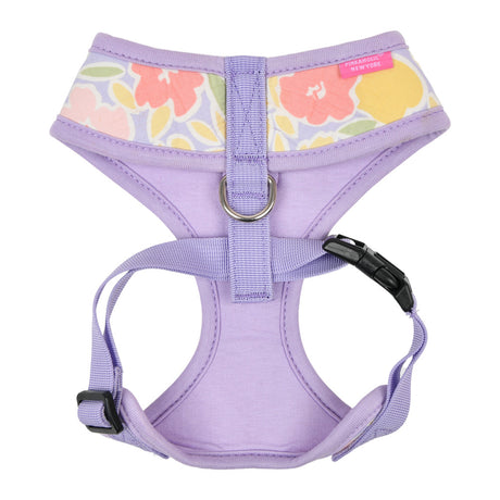 Pinkaholic Evanthe harness Purple - Premium hondentuig > honden harnas from Pinkaholic - Just €27.99! Shop now at Frenkiezdogshop