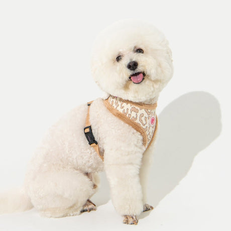 Pinkaholic Tailsy Harness A Beige hondentuig > honden harnas > model A Small
