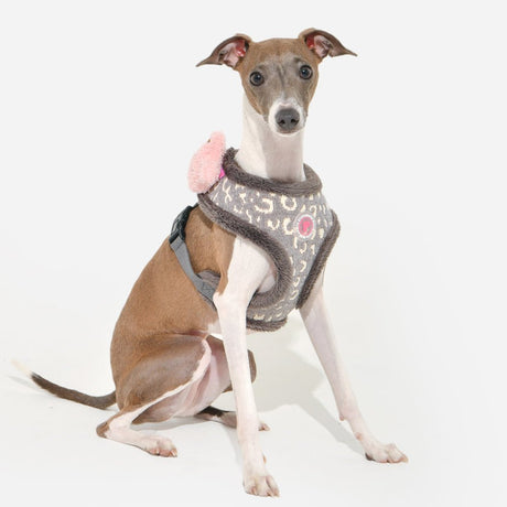 Pinkaholic Tailsy Harness A Grey hondentuig > honden harnas > model A Small