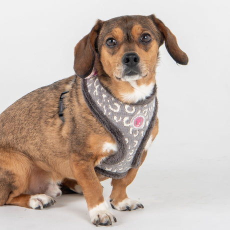 Pinkaholic Tailsy Harness A Grey hondentuig > honden harnas > model A Small