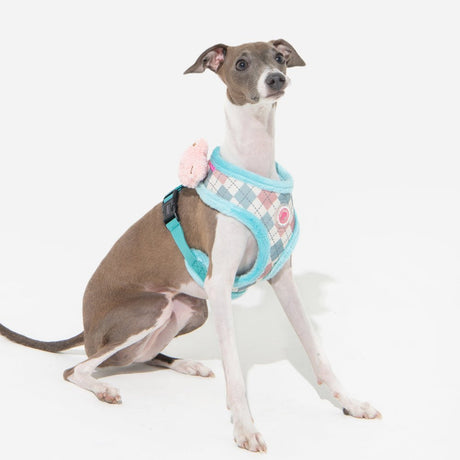 Pinkaholic Annika Harness A Aqua hondentuig > honden harnas > model A Small