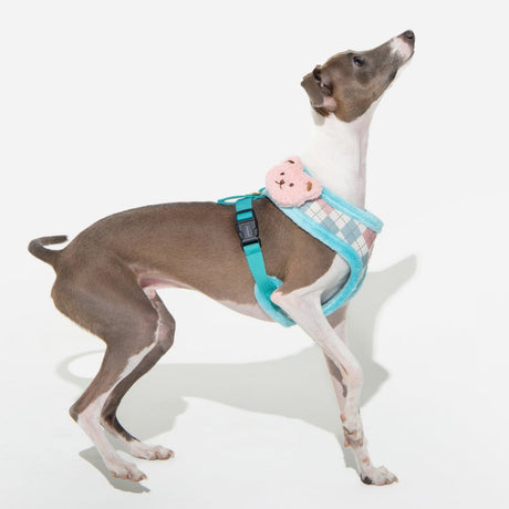 Pinkaholic Annika Harness A Aqua hondentuig > honden harnas > model A Small