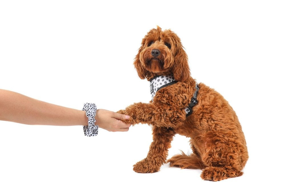 Big and Little Dogs Gettin' Spotty With It scrunchie - Premium Haarelastiek > haarasseccoire from Big and Little Dogs - Just €9.99! Shop now at Frenkiezdogshop