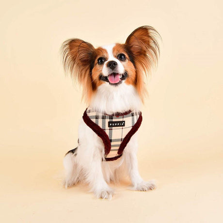 Puppia Dean Harness model A Beige hondentuig > honden harnas > model A Small